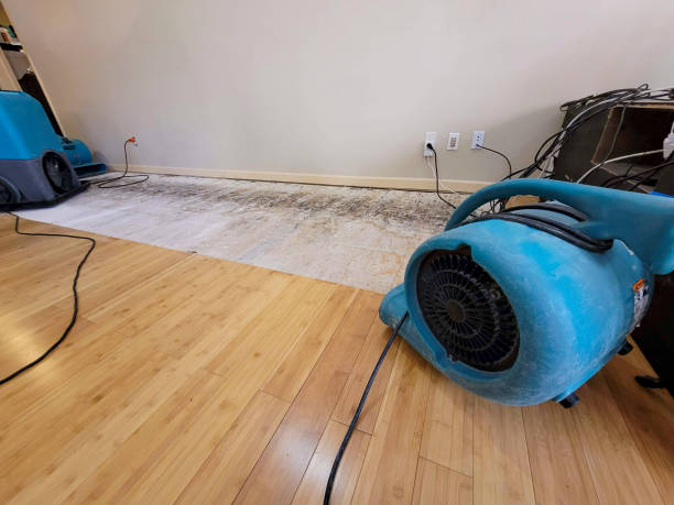Professional Sewage Cleanup technician working in Ames, NE